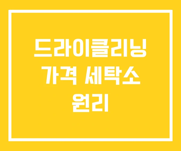 드라이클리닝 가격 세탁소 원리