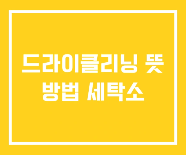 드라이클리닝 뜻 방법 세탁소