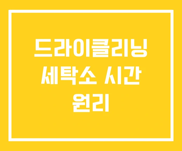 드라이클리닝 세탁소 시간 원리 드라이클리닝 세탁소 시간 원리