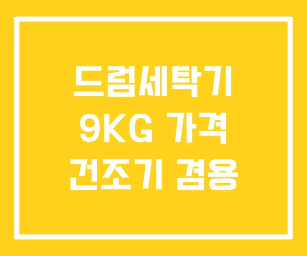 드럼세탁기 9KG 가격 건조기 겸용