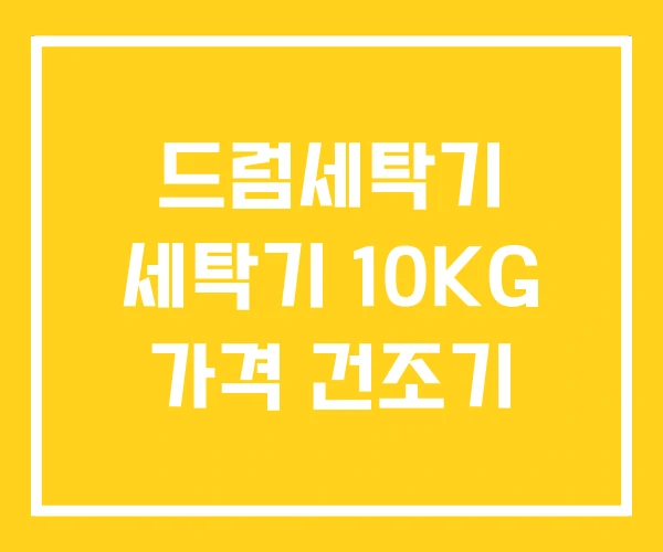 드럼세탁기 세탁기 10KG 가격 건조기