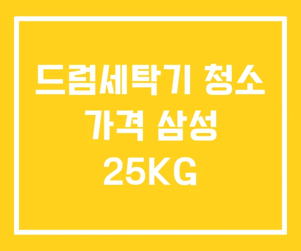드럼세탁기 청소 가격 삼성 25KG
