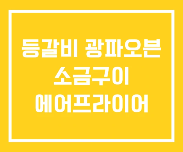 등갈비 광파오븐 소금구이 에어프라이어 등갈비 광파오븐 소금구이 에어프라이어