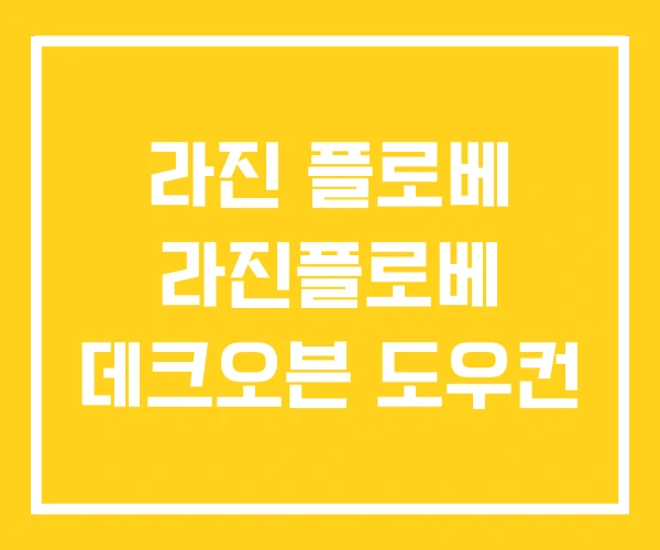 라진 플로베 라진플로베 데크오븐 도우컨