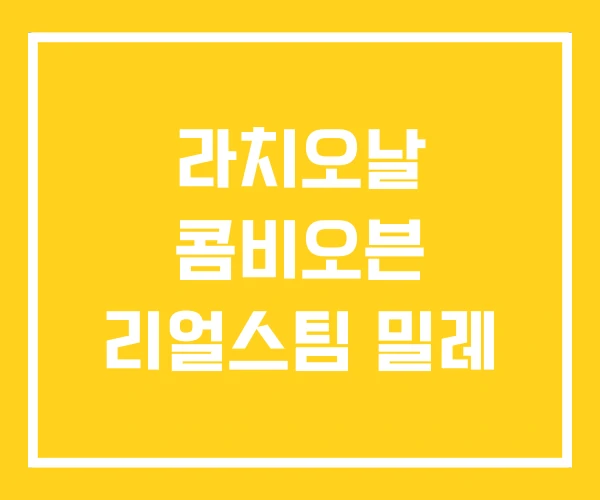라치오날 콤비오븐 리얼스팀 밀레 라치오날 콤비오븐 리얼스팀 밀레