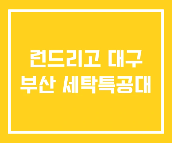 런드리고 대구 부산 세탁특공대