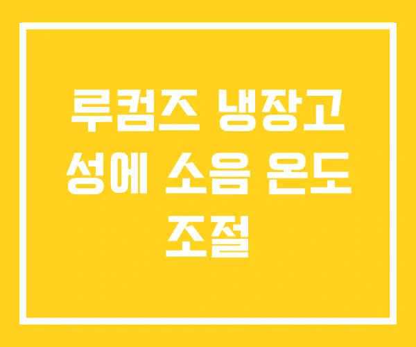 루컴즈 냉장고 성에 소음 온도 조절