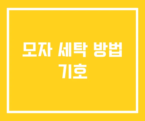 모자 세탁 방법 기호