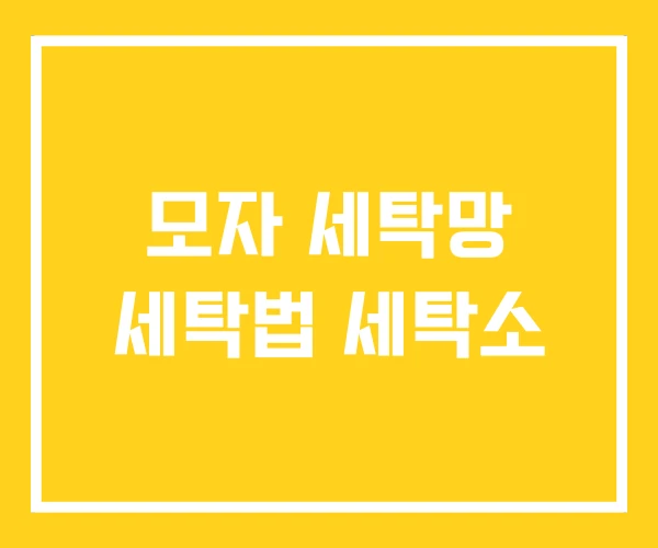 모자 세탁망 세탁법 세탁소