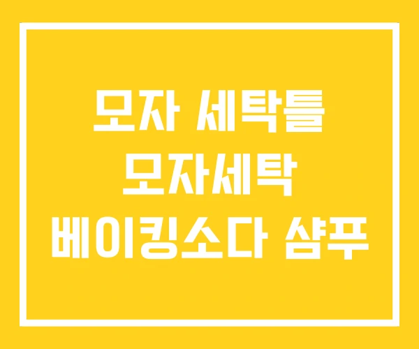 모자 세탁틀 모자세탁 베이킹소다 샴푸