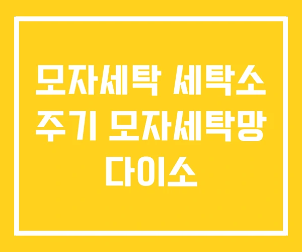 모자세탁 세탁소 주기 모자세탁망 다이소