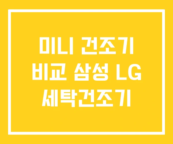 미니 건조기 비교 삼성 LG 세탁건조기