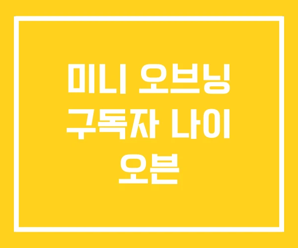 미니 오브닝 구독자 나이 오븐