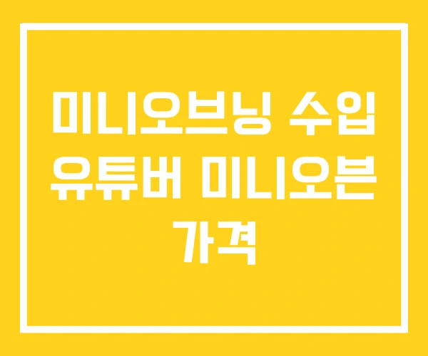 미니오브닝 수입 유튜버 미니오븐 가격 미니오브닝 수입 유튜버 미니오븐 가격
