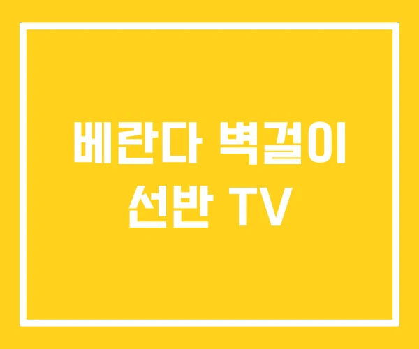 베란다 벽걸이 선반 TV
