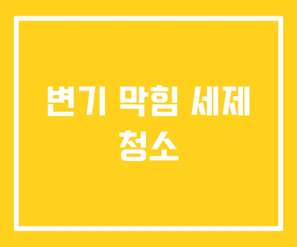 변기 막힘 세제 청소
