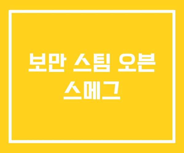 보만 스팀 오븐 스메그
