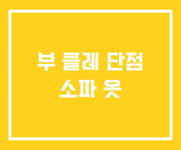 부 클레 단점 소파 옷