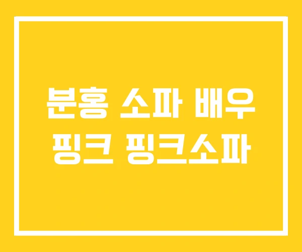 분홍 소파 배우 핑크 핑크소파 분홍 소파 배우 핑크 핑크소파