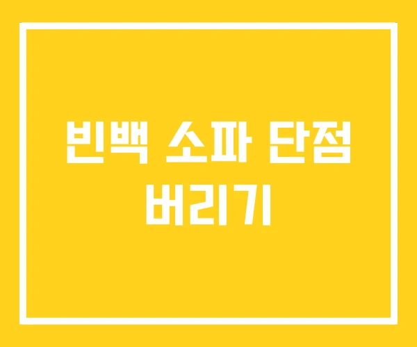 빈백 소파 단점 버리기