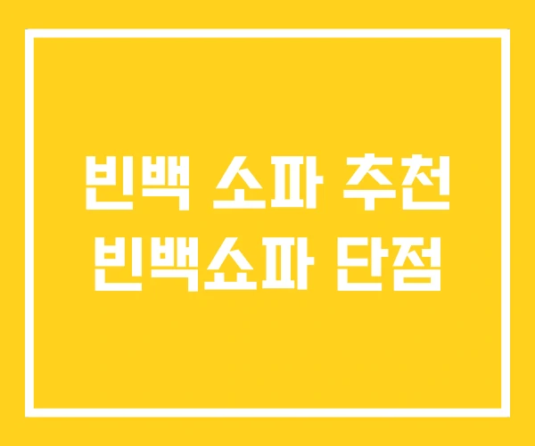 빈백 소파 추천 빈백쇼파 단점