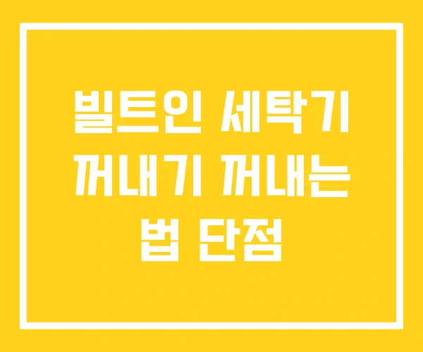 빌트인 세탁기 꺼내기 꺼내는 법 단점
