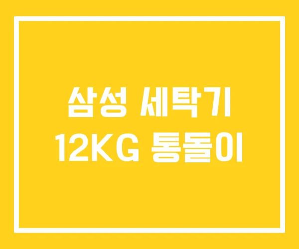 삼성 세탁기 12KG 통돌이 삼성 세탁기 12KG 통돌이