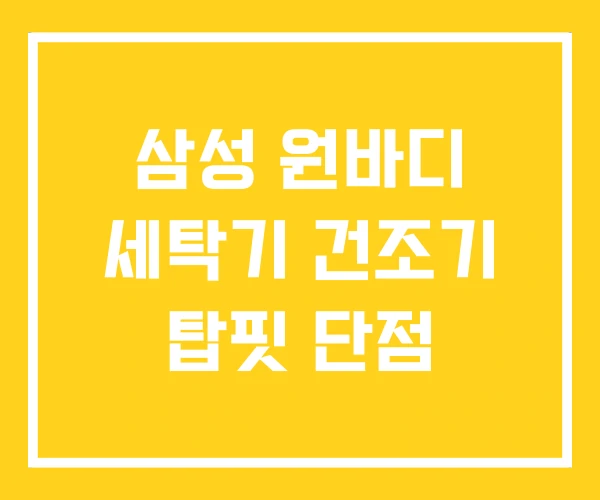 삼성 원바디 세탁기 건조기 탑핏 단점 삼성 원바디 세탁기 건조기 탑핏 단점