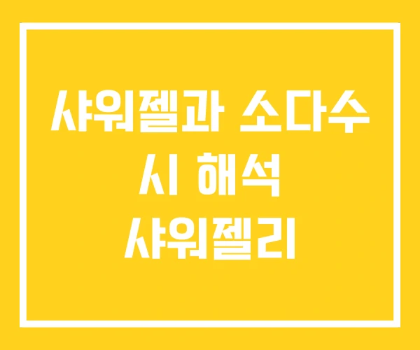 샤워젤과 소다수 시 해석 샤워젤리 샤워젤과 소다수 시 해석 샤워젤리