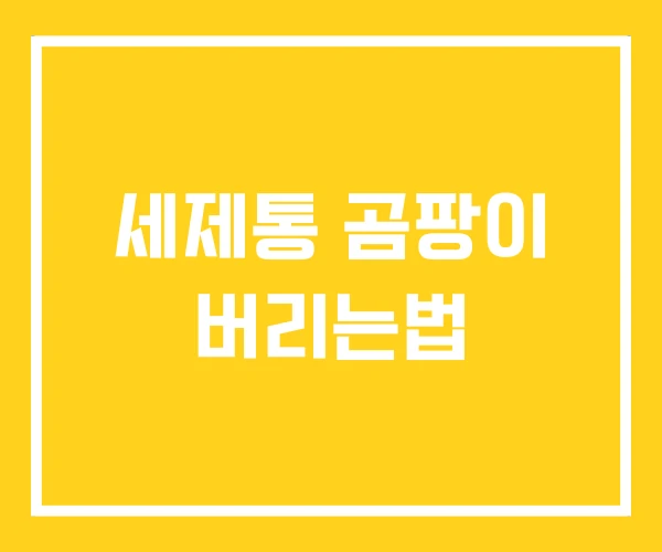 세제통 곰팡이 버리는법