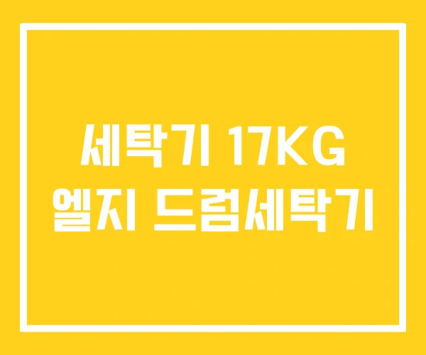 세탁기 17KG 엘지 드럼세탁기