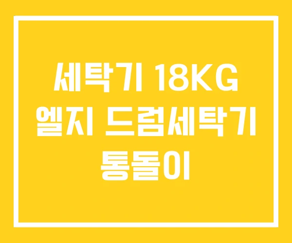 세탁기 18KG 엘지 드럼세탁기 통돌이 세탁기 18KG 엘지 드럼세탁기 통돌이