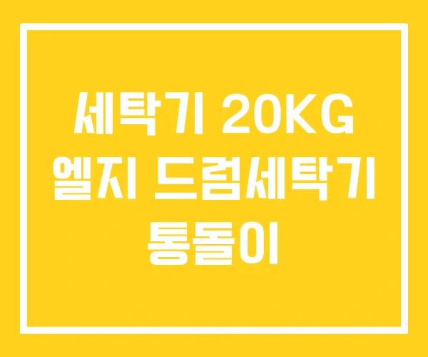 세탁기 20KG 엘지 드럼세탁기 통돌이 세탁기 20KG 엘지 드럼세탁기 통돌이