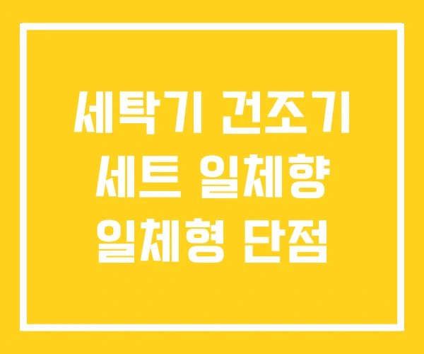 세탁기 건조기 세트 일체향 일체형 단점 세탁기 건조기 세트 일체향 일체형 단점