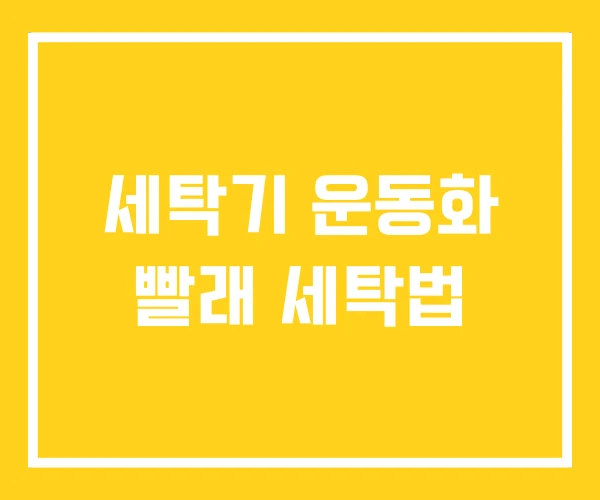 세탁기 운동화 빨래 세탁법