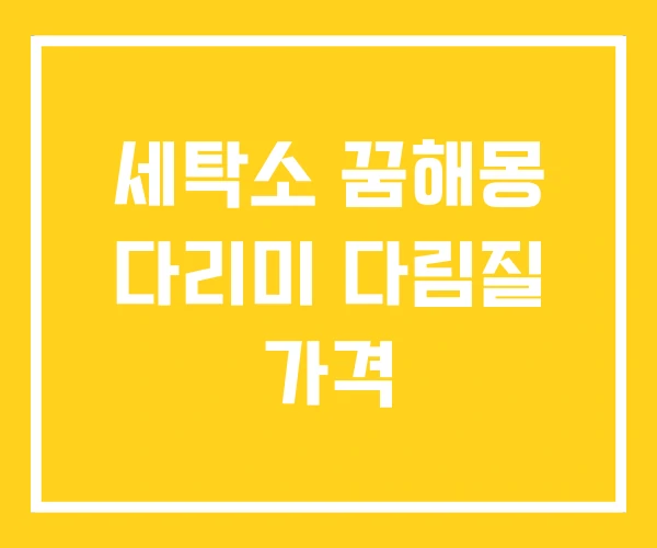 세탁소 꿈해몽 다리미 다림질 가격 세탁소 꿈해몽 다리미 다림질 가격
