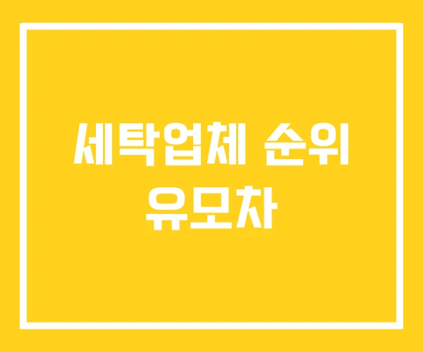 세탁업체 순위 유모차