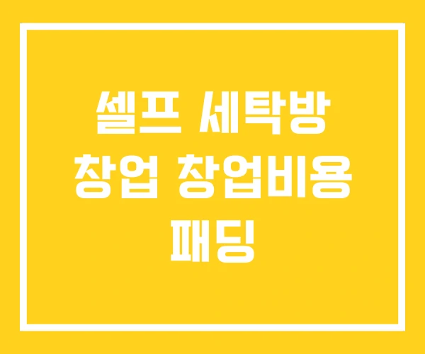 셀프 세탁방 창업 창업비용 패딩 셀프 세탁방 창업 창업비용 패딩