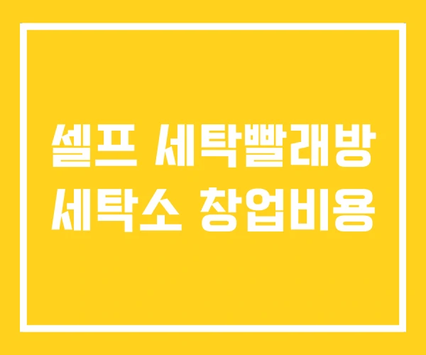 셀프 세탁빨래방 세탁소 창업비용 셀프 세탁빨래방 세탁소 창업비용