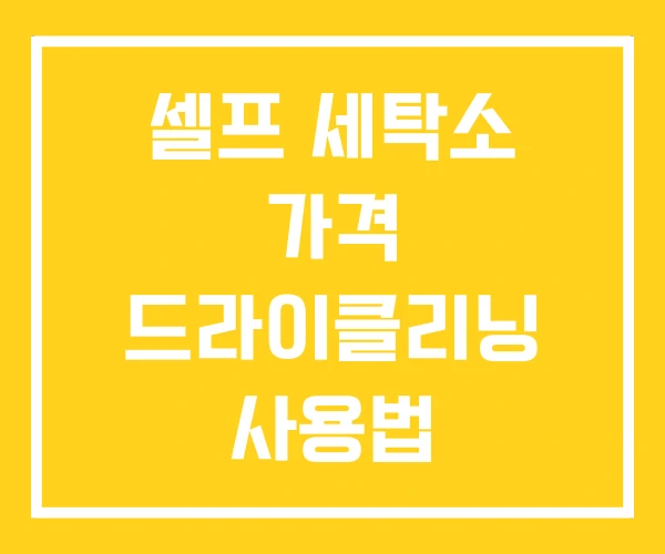 셀프 세탁소 가격 드라이클리닝 사용법 셀프 세탁소 가격 드라이클리닝 사용법