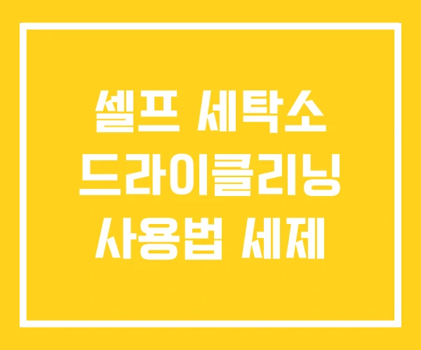 셀프 세탁소 드라이클리닝 사용법 세제 셀프 세탁소 드라이클리닝 사용법 세제