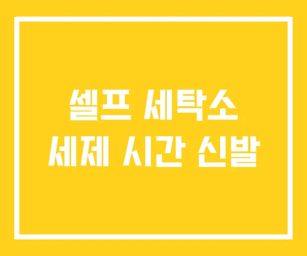셀프 세탁소 세제 시간 신발 셀프 세탁소 세제 시간 신발