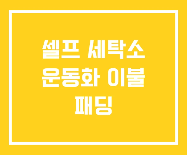 셀프 세탁소 운동화 이불 패딩