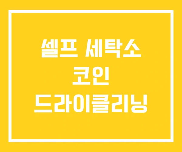 셀프 세탁소 코인 드라이클리닝