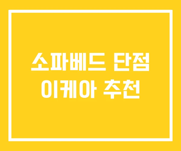 소파베드 단점 이케아 추천 소파베드 단점 이케아 추천