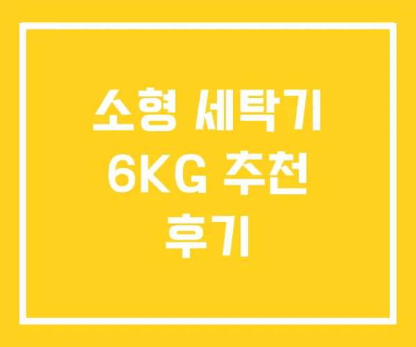 소형 세탁기 6KG 추천 후기