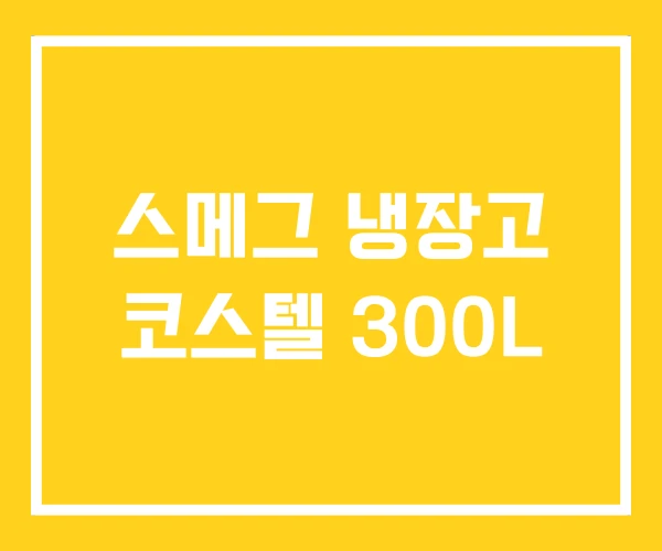 스메그 냉장고 코스텔 300L