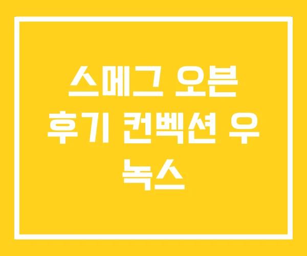 스메그 오븐 후기 컨벡션 우 녹스 스메그 오븐 후기 컨벡션 우 녹스