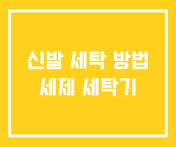 신발 세탁 방법 세제 세탁기