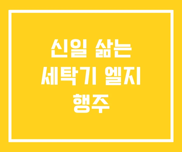 신일 삶는 세탁기 엘지 행주 신일 삶는 세탁기 엘지 행주